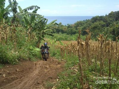 Mencari yang Perawan di Tulungagung