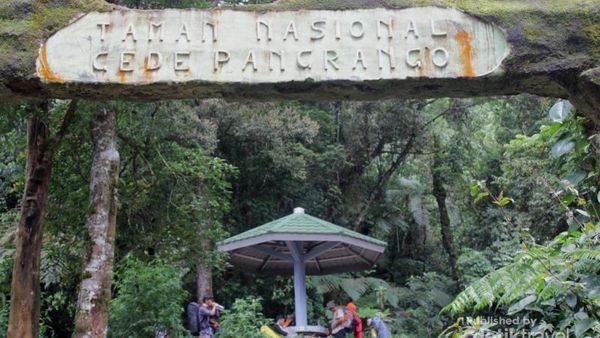 Mendaki Gunung Gede, Asyiknya Wajib Dicoba