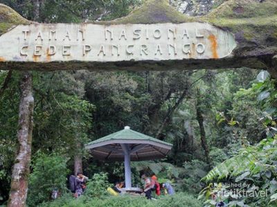 Mendaki Gunung Gede, Asyiknya Wajib Dicoba