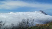 Mendaki Si Cantik Gunung Merbabu