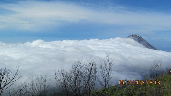 Mendaki Si Cantik Gunung Merbabu