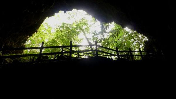 Menelisik Masa Lalu Biak di Gua Jepang