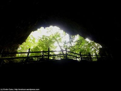 Menelisik Masa Lalu Biak di Gua Jepang