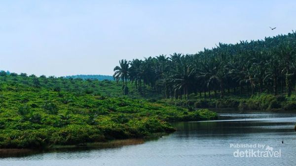 Menengok Megahnya Istana Siak di Riau