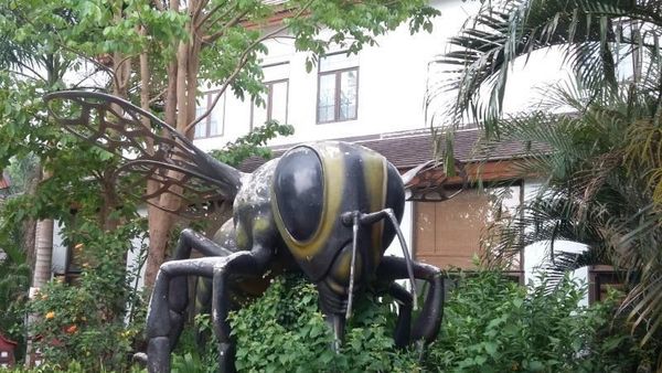 Menengok Peternakan Lebah Terbaik di Thailand