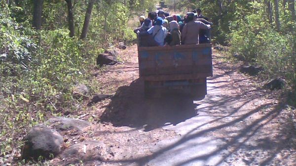 Mengamati Keanekaragaman Satwa di Africa van Java