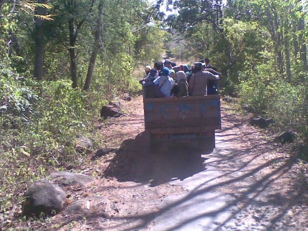 Mengamati Keanekaragaman Satwa di Africa van Java