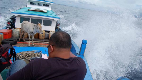 Mengembara ke Pulau Breueh
