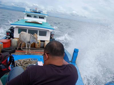 Mengembara ke Pulau Breueh