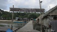 Mengenal Burung Khas Papua Lebih Dekat di Raja Ampat
