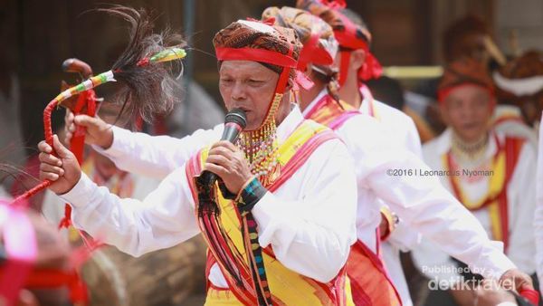 Mengenal Tradisi Congko Lokap di Manggarai, Flores