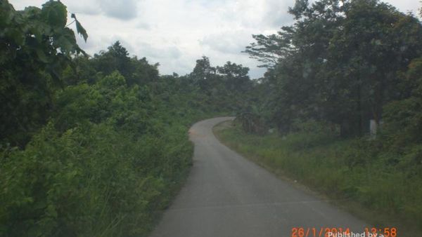 Mengenali Suku Dayak Lebih Dekat di Samarinda