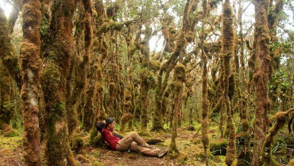 Menginjak Titik Tertinggi Sulawesi