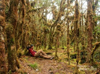 Menginjak Titik Tertinggi Sulawesi
