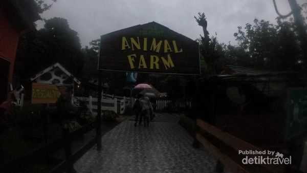 Mengintip Kawasan Peternakan di Eco Green Park Batu