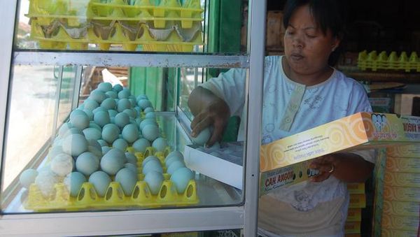 Mengintip Produksi Telor Asin di Brebes
