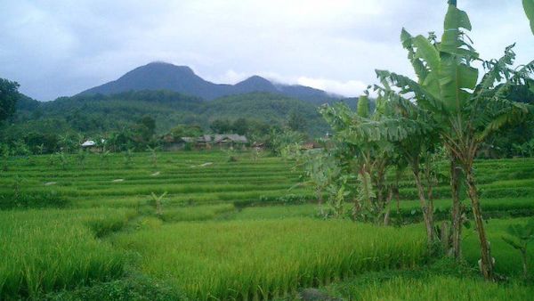 Menikmati Air Panas di Tengah Sejuknya Bogor