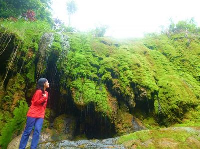 Menikmati Alam Hijau Baturaden di Purwokerto