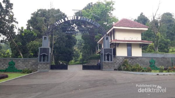 Menikmati Hijaunya Alam Lewat Wisata Agro Bukit Hambalang di Sentul