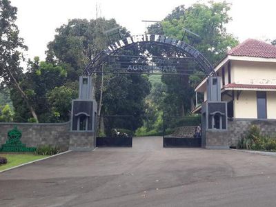 Menikmati Hijaunya Alam Lewat Wisata Agro Bukit Hambalang di Sentul