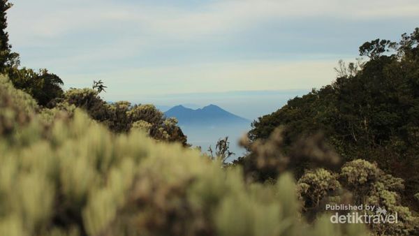 Menikmati Keheningan Lembah Mandalawangi