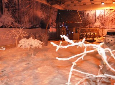 Menikmati Salju di Malaysia, Bisa!