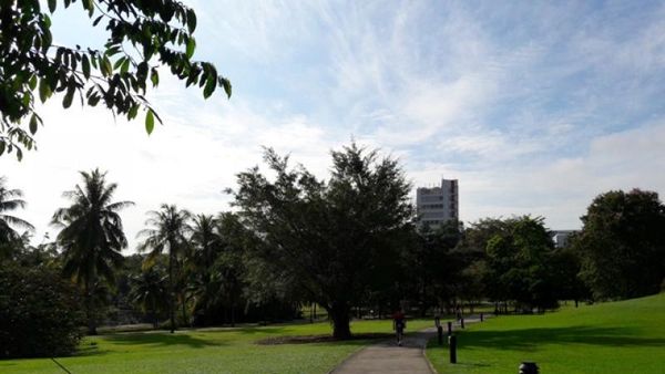 Menikmati Singapura yang Hijau di Akhir Pekan