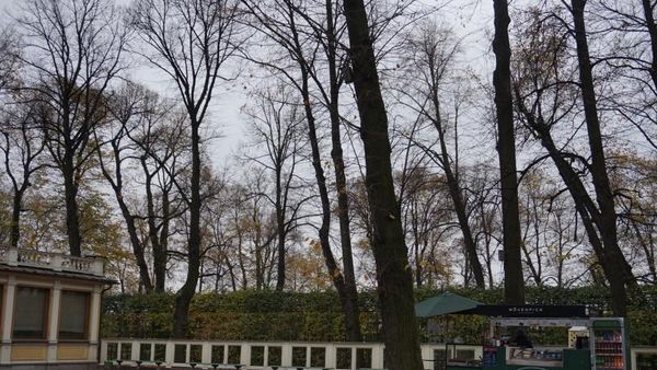 Menikmati Taman Musim Panas di Musim Gugur, Bisa!
