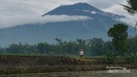 Menilik Keindahan Kaki Gunung Arjuno Malang