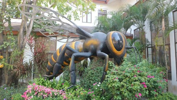 Menilik Peternakan Lebah di Pattaya