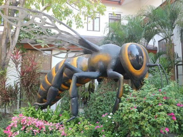 Menilik Peternakan Lebah di Pattaya