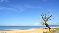 Mentari Pagi yang Sempurna di Pantai Pagatan, Kalsel