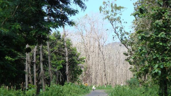 Menuju Tanjung Papuma