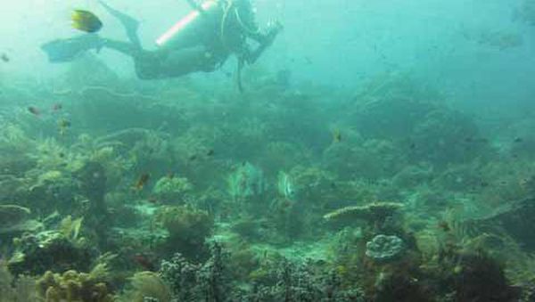 Menyelam di Raja Ampat