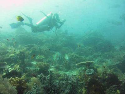 Menyelam di Raja Ampat