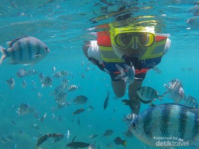 Menyelami Indahnya Kepulauan Karimunjawa