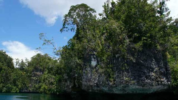Menyusuri Tenangnya Teluk Kabui, Raja Ampat