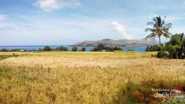 Merasakan Ketenangan di Desa Dintor, Flores