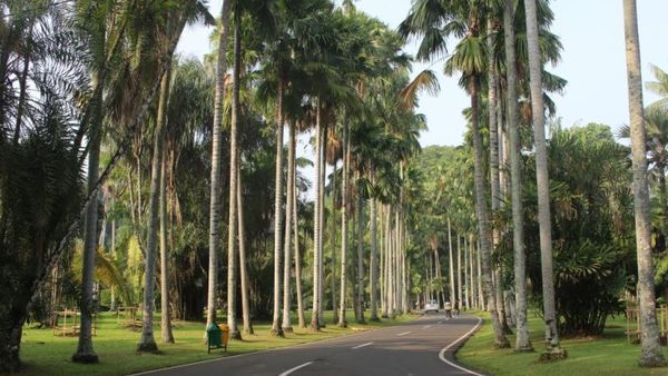 Minggu Besok ke Bogor Yuk, ke Oase Menyejukkan Ini