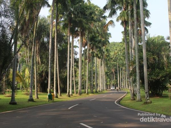 Minggu Besok ke Bogor Yuk, ke Oase Menyejukkan Ini