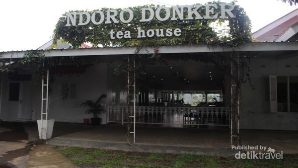 Minum Teh Langsung di Perkebunannya yang Cantik