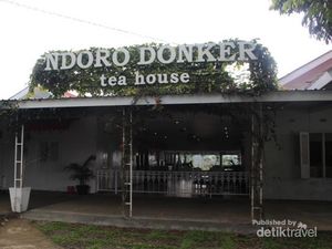Minum Teh Langsung di Perkebunannya yang Cantik