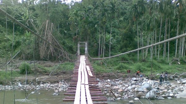 Miris! Bertaruh Nyawa untuk Sampai Kebun Sawit di Aceh