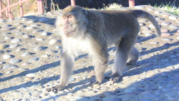 Misteri di Danau Kelimutu