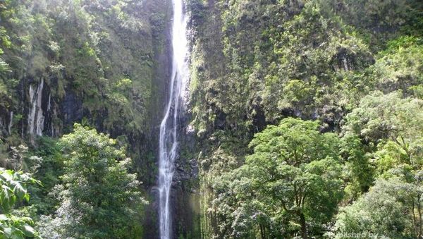 Mitos Air Terjun Sedudo di Nganjuk yang Bisa Bikin Awet Muda