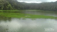 Mitos Awet Percintaan di Danau Situ Patenggang