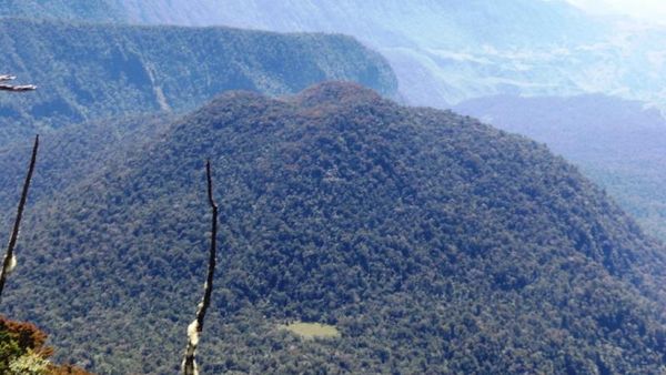 Mitos Pasar Setan di Tengah Hutan Sulawesi Selatan