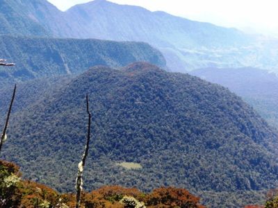 Mitos Pasar Setan di Tengah Hutan Sulawesi Selatan