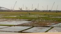 Mudik Lewat Tol Trans Jawa, Bisa Lihat Pemandangan Seindah Ini
