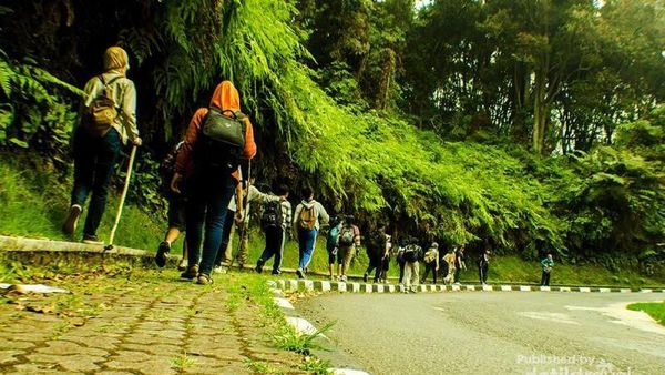 Mumpung Weekend, Hiking ke Tangkuban Perahu Saja